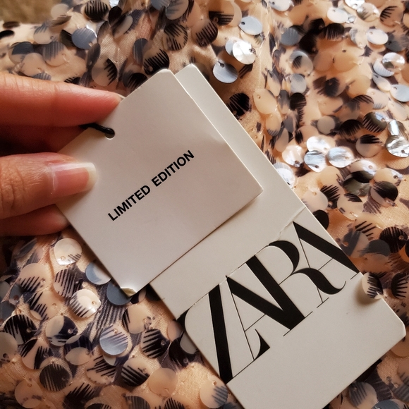 (SOLD) Zara Limited Edition Sequins Dress - Picture 6 of 7